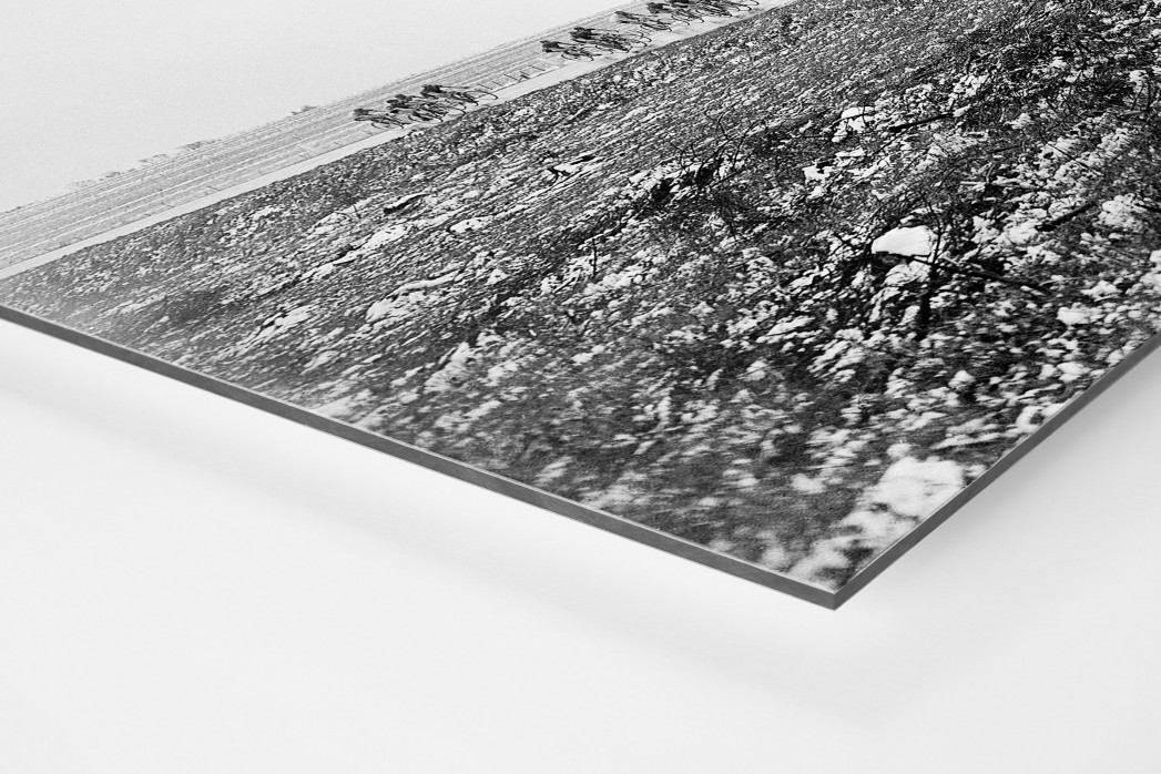 Um die Kurve bei Lüttich-Bastogne-Lüttich als auf Alu-Dibond kaschierter Fotoabzug (Detail)