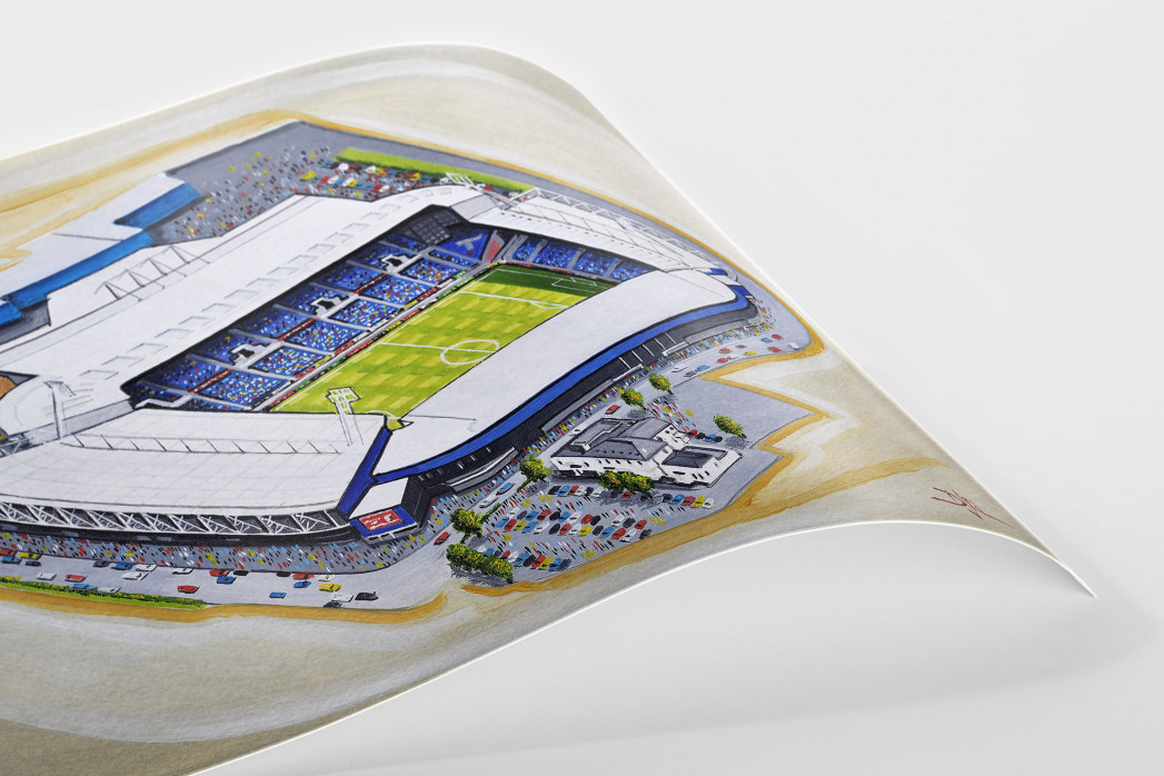 Stadia Art: The Hawthorns als Poster
