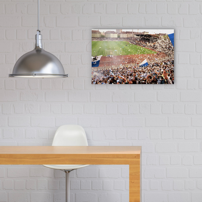 Stadion an der Grünwalder Straße (1990) - Fußball Foto Wandbild - 11FREUNDE SHOP