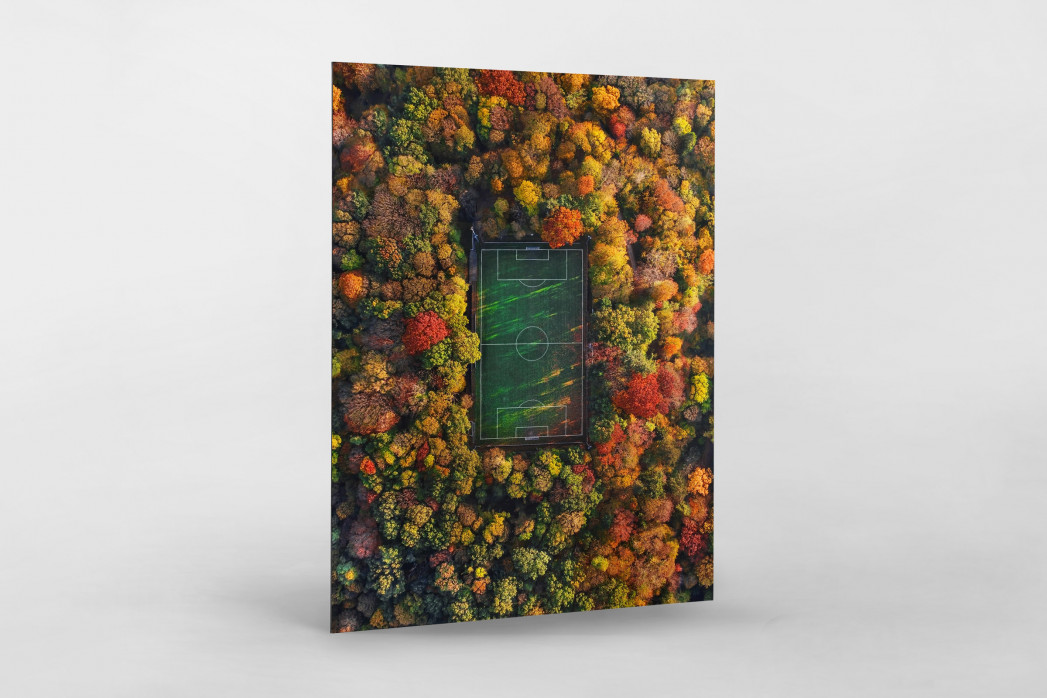  Fußballplatz im Herbstwald (Hochformat) - Sébastien Nagy