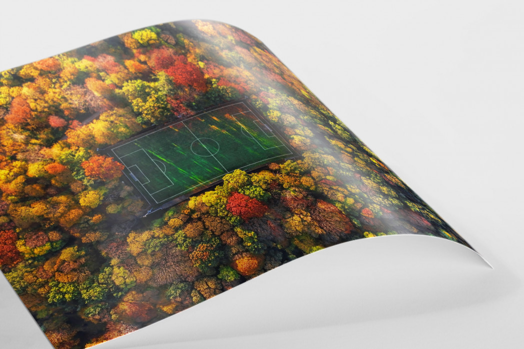 Fußballplatz im Herbstwald (Querformat) - Sébastien Nagy
