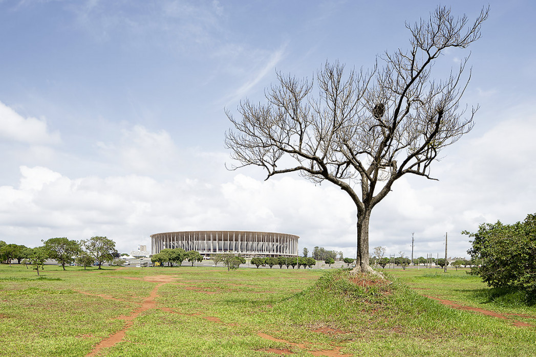 Baum vor dem Estádio Nacional de Brasília - 11FREUNDE BILDERWELT