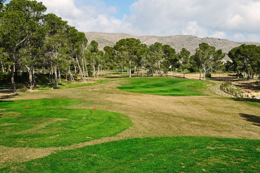 Benidorm Golfresort - Sport Fotos als Wandbilder - Golf Foto - NoSports Magazin 