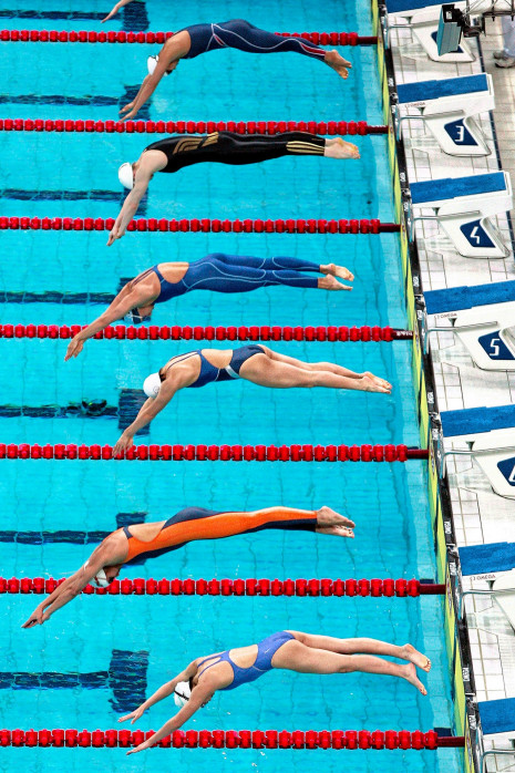 Kurz vor dem Eintauchen - Sport Fotos als Wandbilder - Schwimmen Foto - NoSports Magazin 