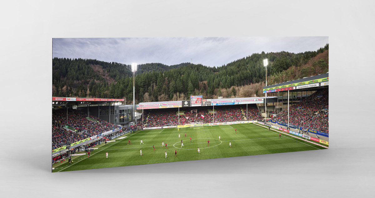 Freiburg (2020) - Schwarzwald-Stadion - Fußball Wandbild - 11FREUNDE SHOP