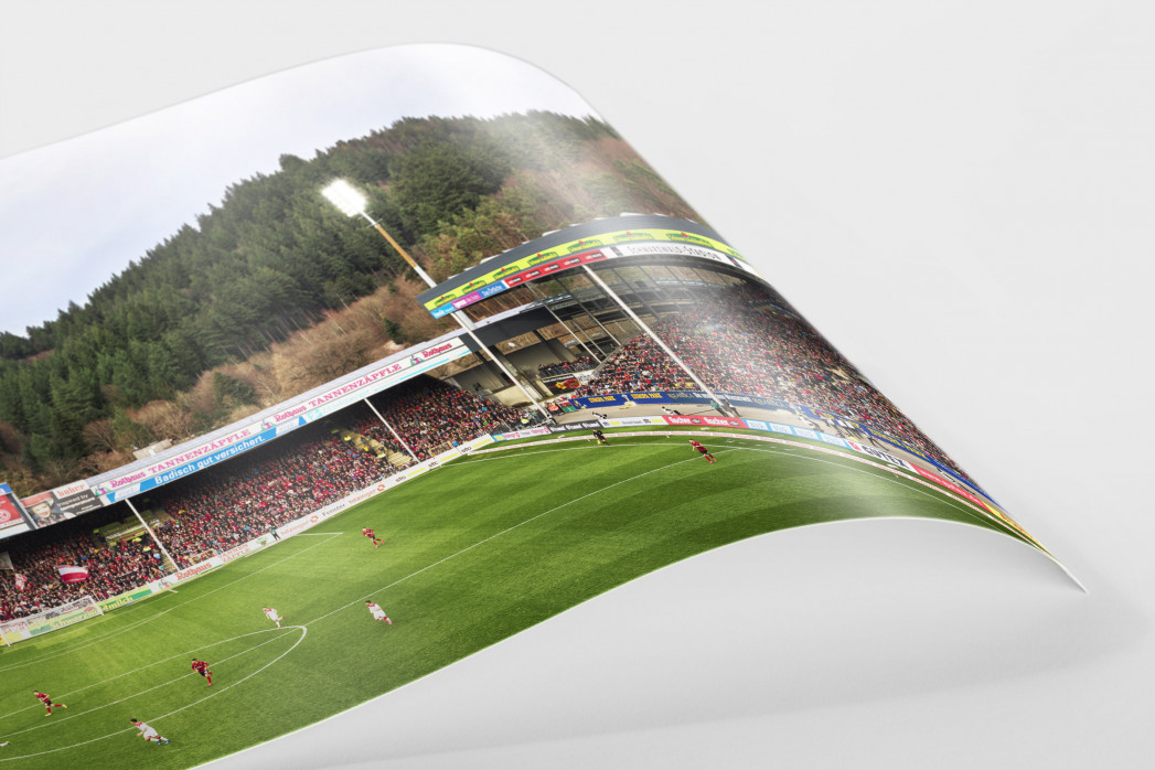 Freiburg (2020) - Schwarzwald-Stadion - Fußball Wandbild - 11FREUNDE SHOP