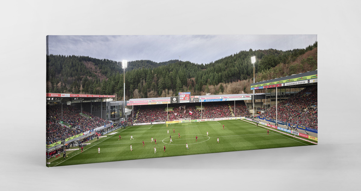 Freiburg (2020) - Schwarzwald-Stadion - Fußball Wandbild - 11FREUNDE SHOP
