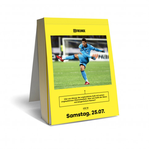 Tagesabreißkalender mit Fußballfragen: Der große 11FREUNDE Quiz Kalender 2026