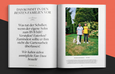 11FREUNDE SPEZIAL: Liebe & Hass - Heft bestellen - 11FREUNDE SHOP