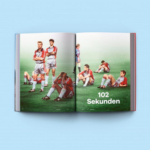 DAS GROSSE 11FREUNDE BUCH - Heyne Hardcore - 456 Seiten - Im 11FREUNDE SHOP bestellen