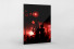 Ponte Preta Fans With Pyro als Direktdruck auf Alu-Dibond hinter Acrylglas