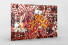 Liverpool Fans 1977 (2) als Direktdruck auf Alu-Dibond hinter Acrylglas