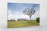 Baum vor dem Estádio Nacional de Brasília als Leinwand auf Keilrahmen gezogen