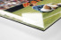 Klinsmann gegen Holland (1) als Direktdruck auf Alu-Dibond hinter Acrylglas (Detail)