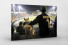Palmeiras Fan And Dog Watching The Match als auf Alu-Dibond kaschierter Fotoabzug