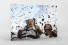 Corinthians Fans Celebrating (1) als Direktdruck auf Alu-Dibond hinter Acrylglas