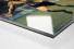 BVB-Jubel als Direktdruck auf Alu-Dibond hinter Acrylglas (Detail)