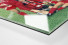 Lauterer Pokaljubel 1996 als Direktdruck auf Alu-Dibond hinter Acrylglas (Detail)