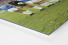 1860 München 1966 (2) als auf Alu-Dibond kaschierter Fotoabzug (Detail)