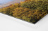 Signal Iduna Park im Stadtbild als auf Alu-Dibond kaschierter Fotoabzug (Detail)