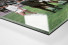 Gladbacher Jubel in Marl als Direktdruck auf Alu-Dibond hinter Acrylglas (Detail)