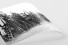 Fans auf der Leiter (1) als FineArt-Print