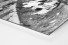 Dosenbier im Hampden Park als auf Alu-Dibond kaschierter Fotoabzug (Detail)
