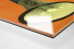 Fan mit Megaphon als Direktdruck auf Alu-Dibond hinter Acrylglas (Detail)