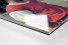 Ducke und Buschner als Direktdruck auf Alu-Dibond hinter Acrylglas (Detail)