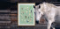 Gladbach Legends - Fußball Poster Hands Of God