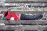 Trauernder Fan - Fußball Wandbild - 11FREUNDE SHOP