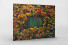 Fußballplatz im Herbstwald (Querformat) - Sébastien Nagy