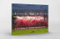 Pyro auf dem Betze - Kai Senf - Bengalos & Banner 1. FC Kaiserslautern Fans