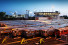 Bahnhof bei den US Open - Sport Fotografien als Wandbilder - Tennis Foto - NoSports Magazin - 11FREUNDE SHOP