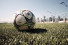 Trainingsplatz am East River - Robert Strehler - 11FREUNDE BILDERWELT