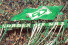 Bremen Fans 1999 - 11FREUNDE BILDERWELT