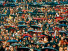 Zuschauer und Regenschirme - Fußball Foto Wandbild - 11FREUNDE SHOP