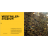 Stadien - Die besten Fußball-Arenen der Welt - 11FREUNDE SHOP