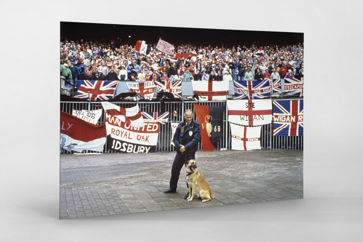 Englische Fans in Rotterdam - 11FREUNDE BILDERWELT