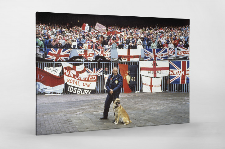 Englische Fans in Rotterdam - 11FREUNDE BILDERWELT