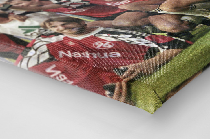 Hannoverscher Pokaljubel Hannover 96 - 11FREUNDE BILDERWELT