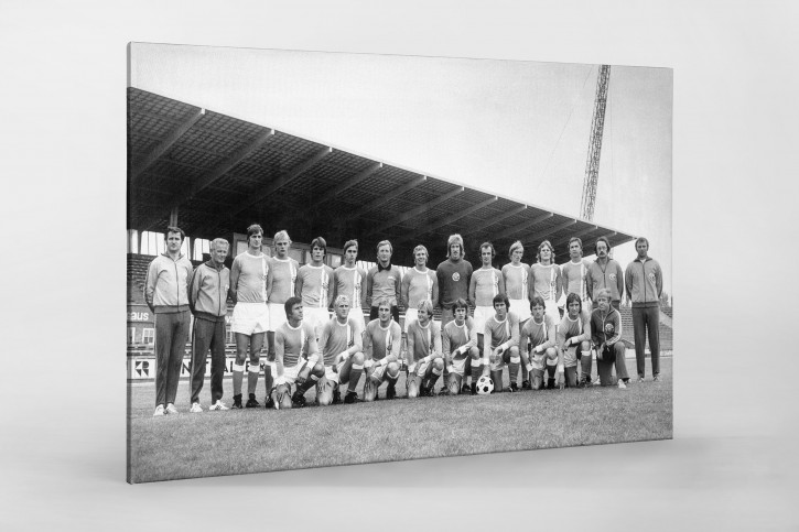 FC Hansa Rostock Mannschaftsfoto - 11FREUNDE BILDERWELT