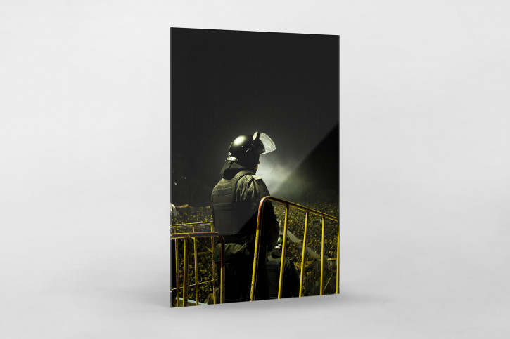 Police At The Stadium - Gabriel Uchida - 11FREUNDE BILDERWELT