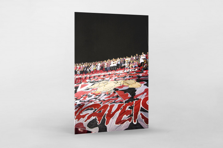 Fans And Flags - Gabriel Uchida - 11FREUNDE BILDERWELT