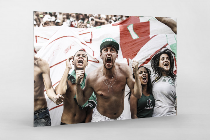 Palmeiras Fan Celebrating - Gabriel Uchida - 11FREUNDE BILDERWELT