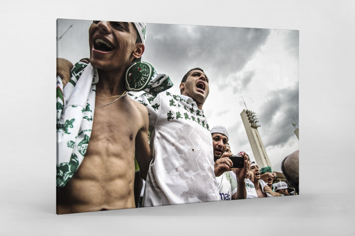 Palmeiras Fans In The Stand - Gabriel Uchida - 11FREUNDE BILDERWELT