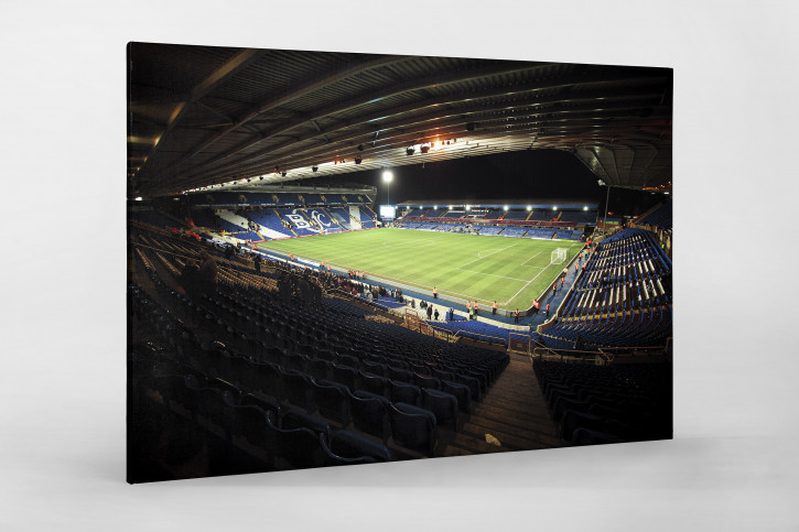  Blick in das St. Andrew’s Stadium (Farbe) - Robert Strehler - 11FREUNDE BILDERWELT