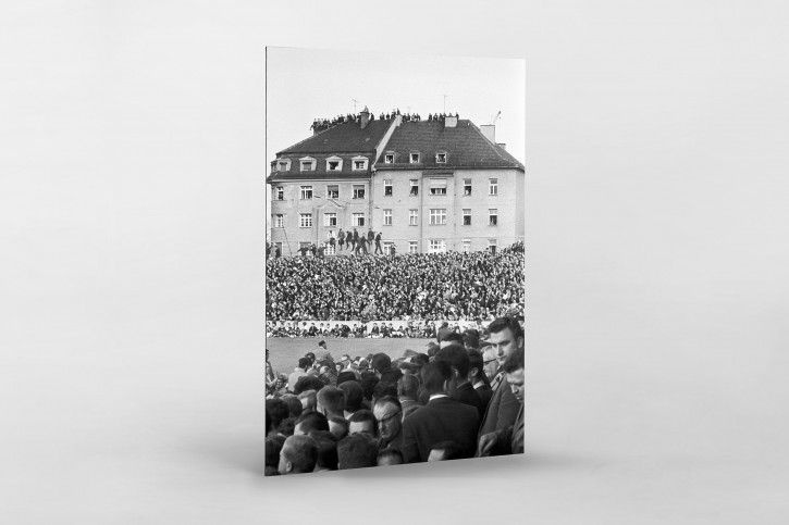 Zuschauer auf dem Dach - Stadion an der Grünwalder Straße - 11FREUNDE SHOP