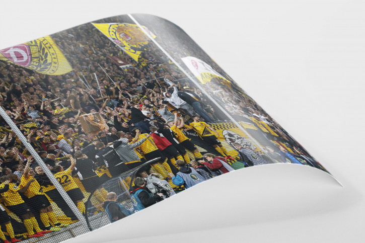 Dresden jubelt im Pokal - Dynamo Dresden - 11FREUNDE BILDERWELT