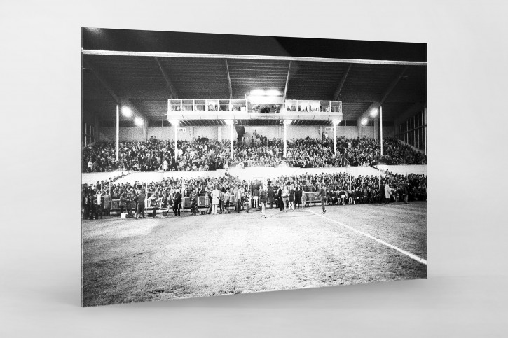 Europapokal an der Grünwalder Straße - FC Bayern München - 11FREUNDE SHOP